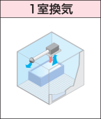 �P�����C