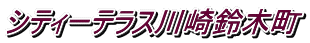 シティーテラス川崎鈴木町