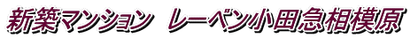 新築マンション レーベン小田急相模原