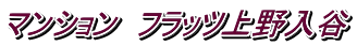 マンション フラッツ上野入谷
