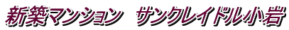 新築マンション サンクレイドル小岩