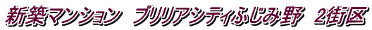 新築マンション ブリリアシティふじみ野 2街区