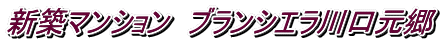 新築マンション ブランシエラ川口元郷