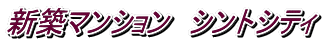 新築マンション シントシティ