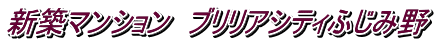 新築マンション ブリリアシティふじみ野