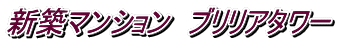 新築マンション ブリリアタワー
