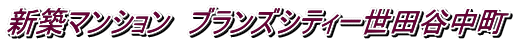 新築マンション ブランズシティー世田谷中町