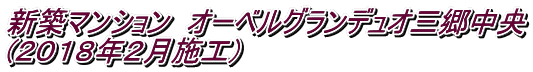新築マンション オーベルグランデュオ三郷中央 (2018年2月施工)