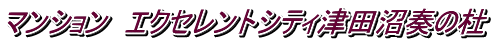 マンション エクセレントシティ津田沼奏の杜