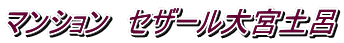 マンション セザール大宮土呂