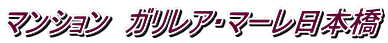 マンション ガリレア・マーレ日本橋