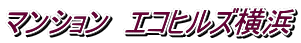 マンション エコヒルズ横浜