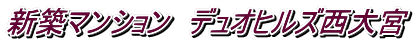 新築マンション デュオヒルズ西大宮